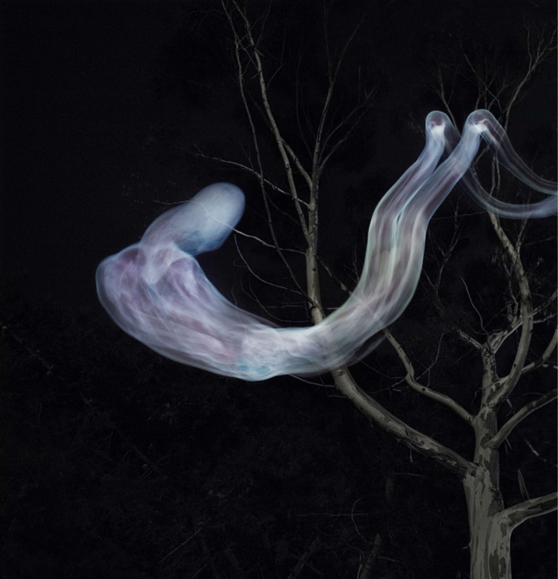 <h3>Bøger efterår 2017</h3>