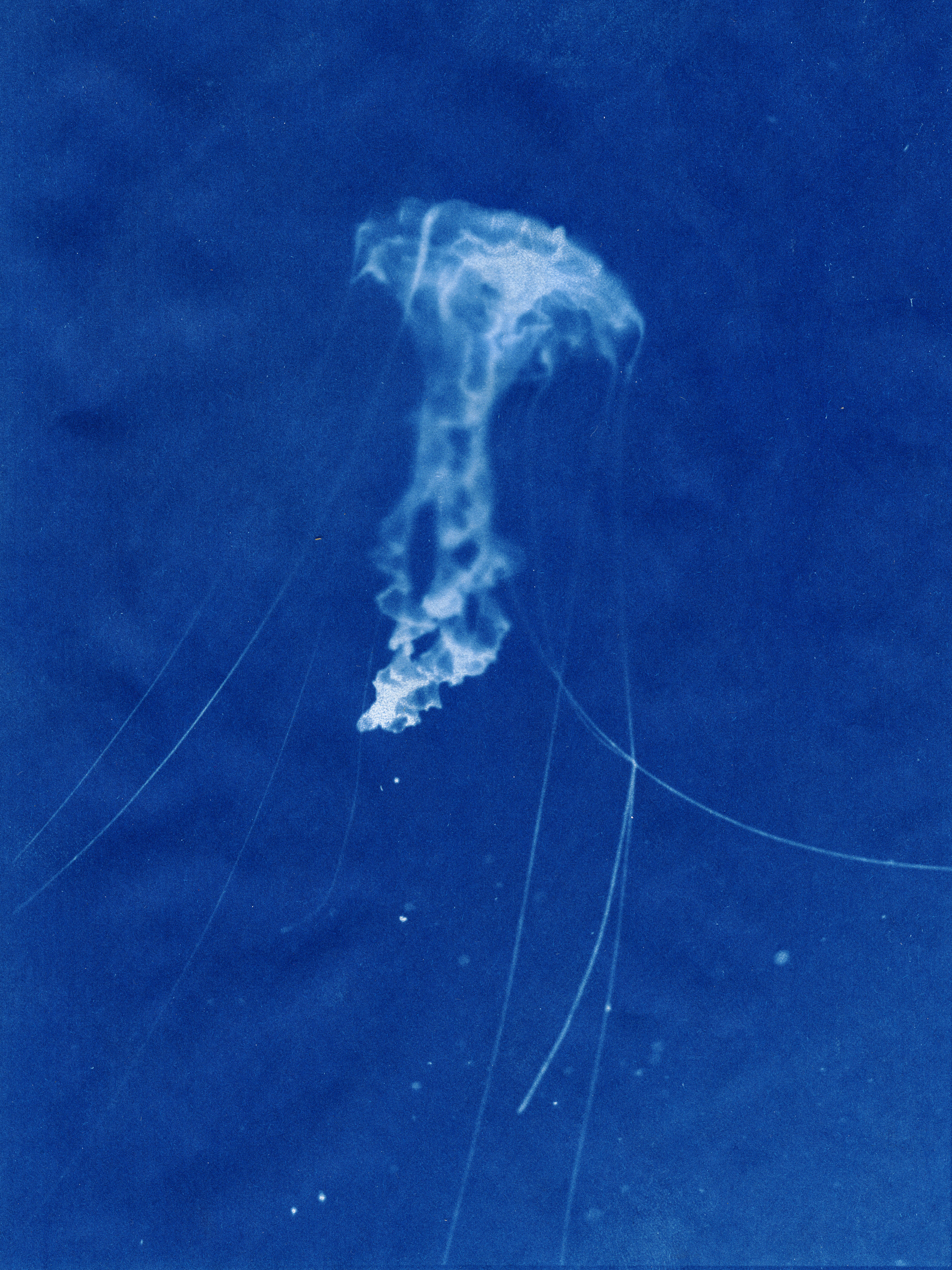 <h3>Afslutning vinter 2016</h3>