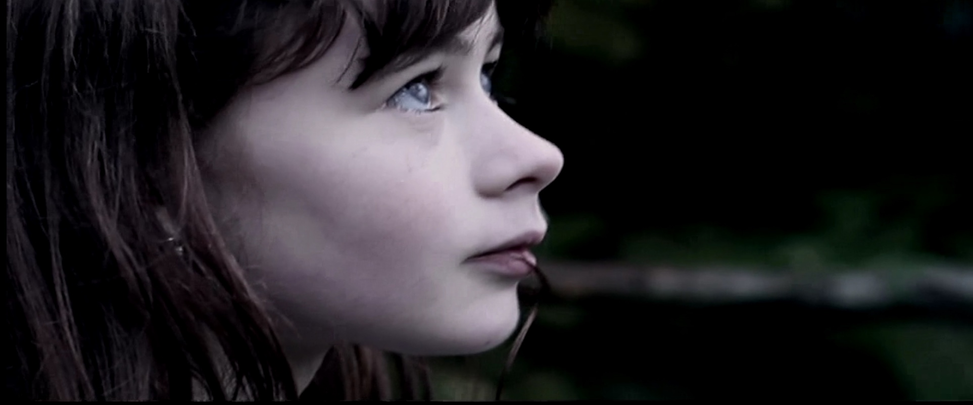 <h3>Duer flyver frit på himlen</h3>