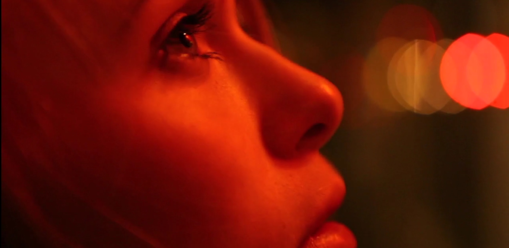 <h3>Nachtfalter</h3>