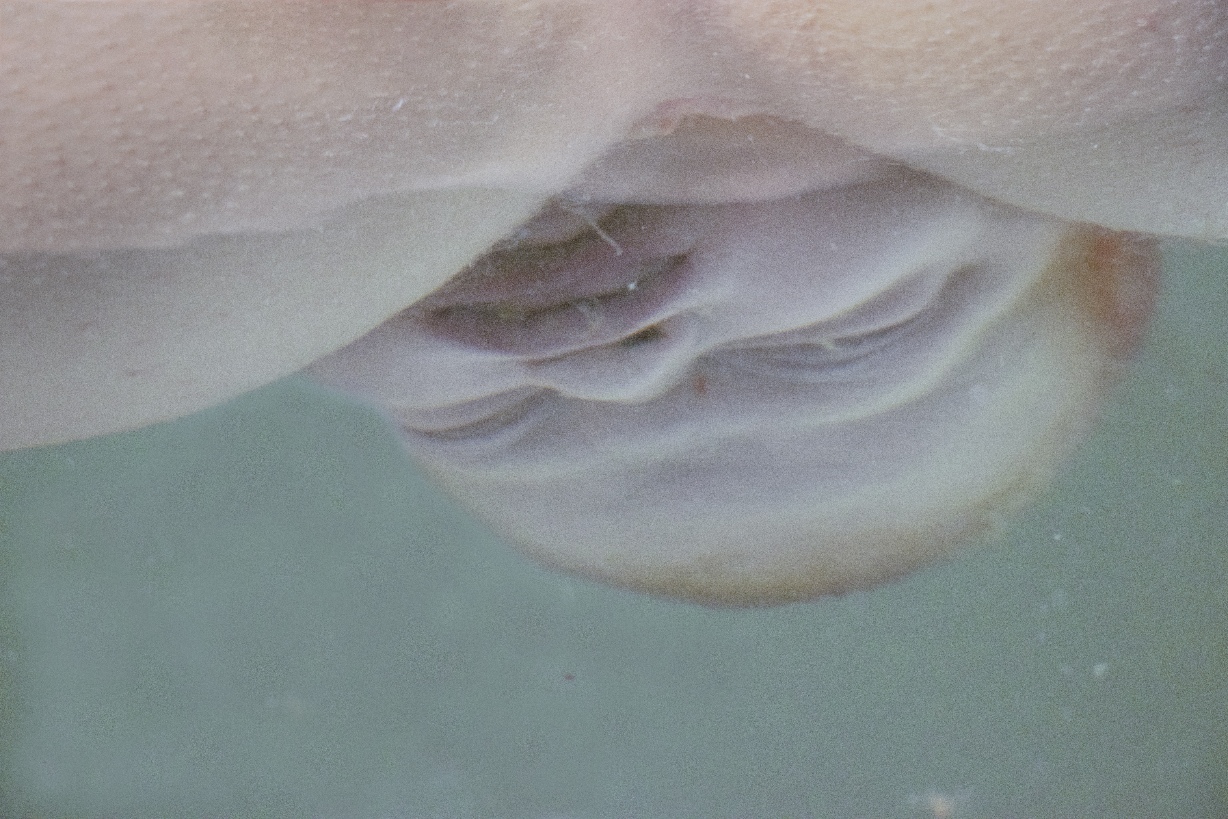 <h3>Afgangsprojekter efterår 2018</h3>