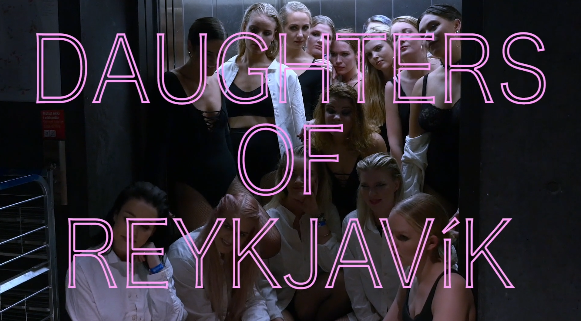 <h3>Daughters of Reykjavik</h3>