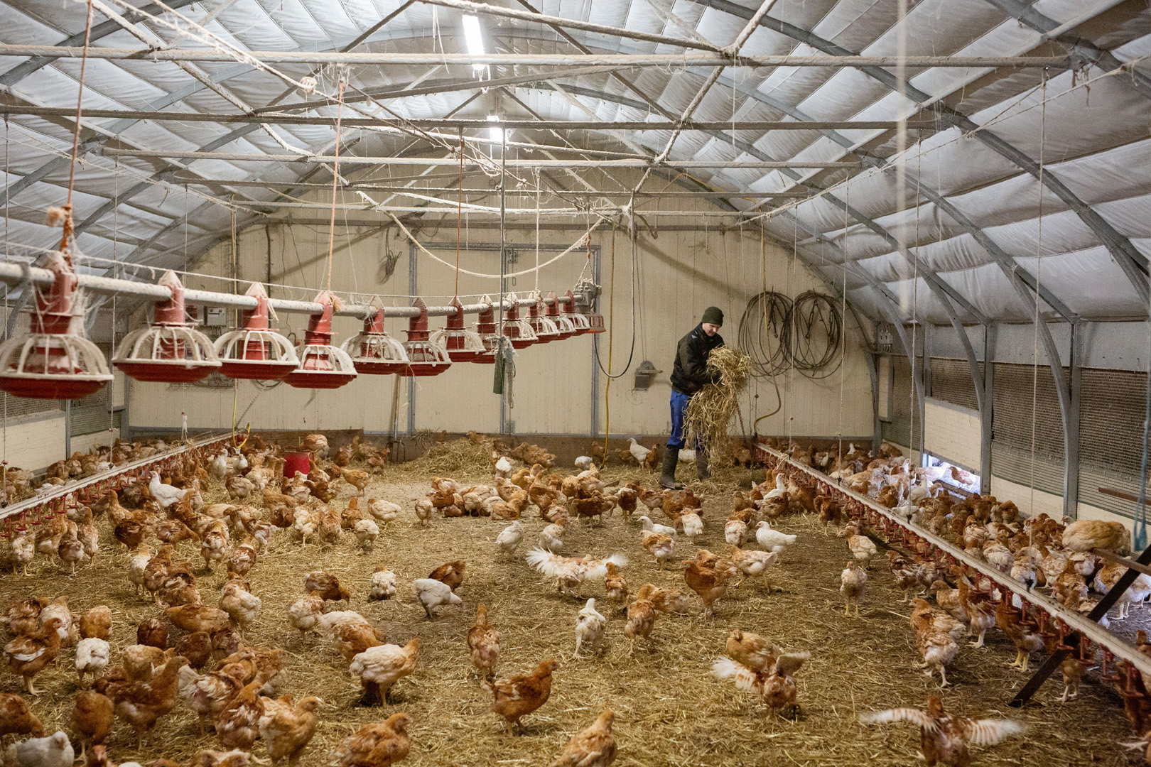 <h3>Projekt:Lolland</h3>