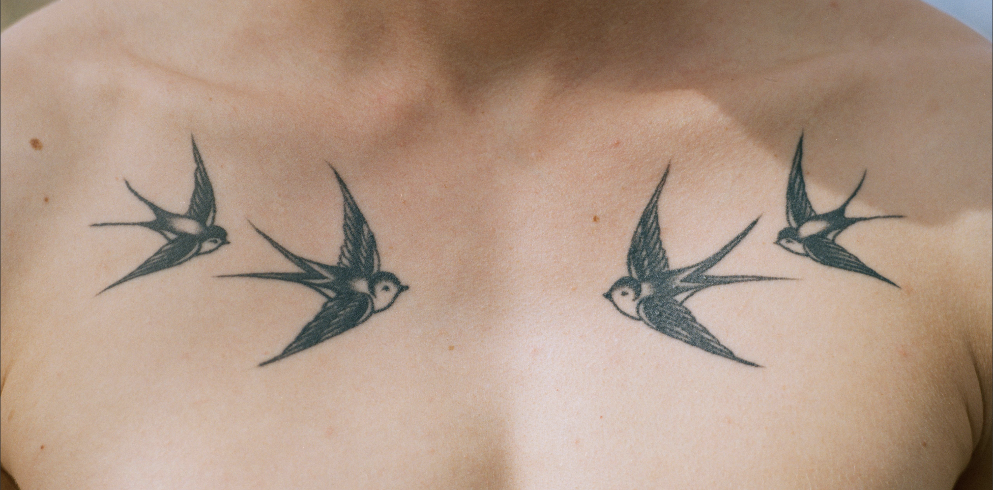 <h3>Bøger efterår 2024</h3>