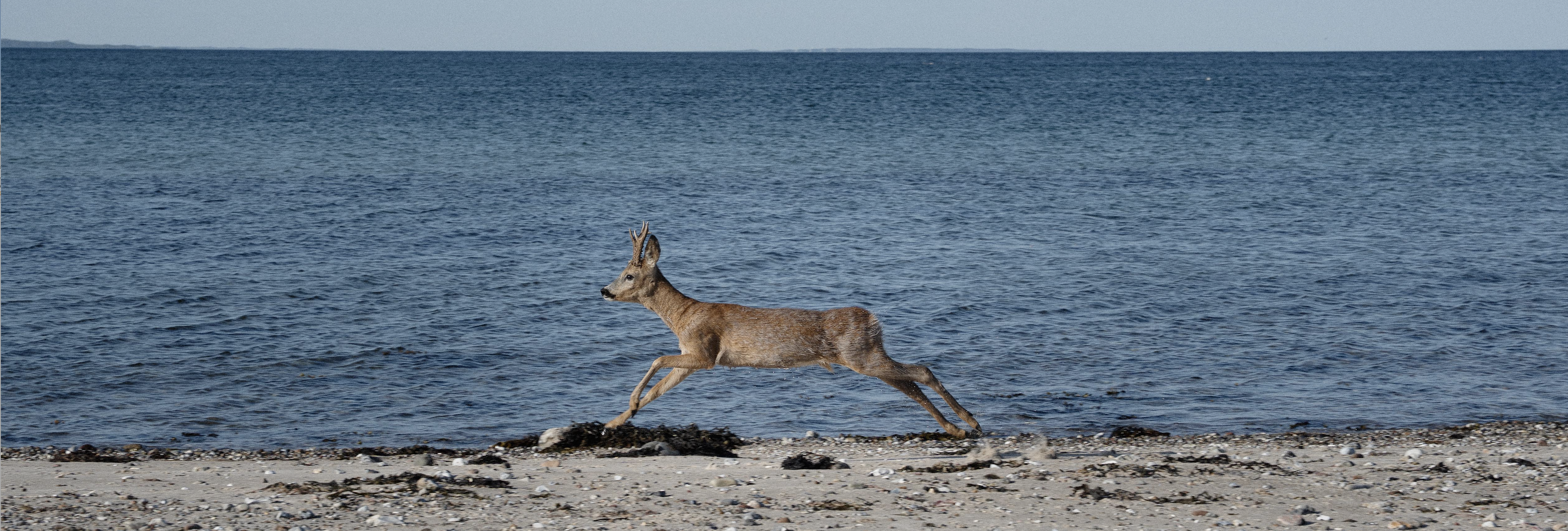 <h3>Afslutning Foto-basis f 25</h3>